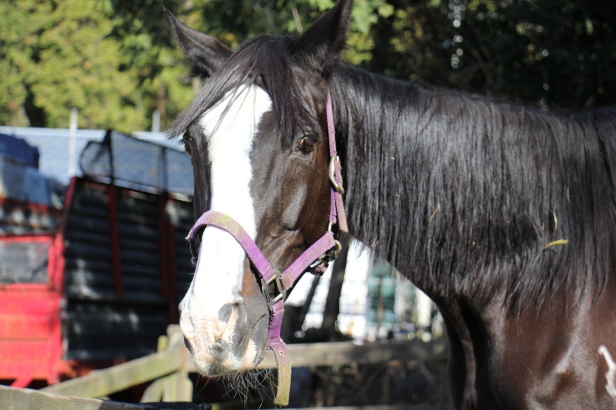 1bfe035500b4993e76fa0c46e5aba244-1769626868.jpg 1bfe035500b4993e76fa0c46e5aba244-1769626868.jpg